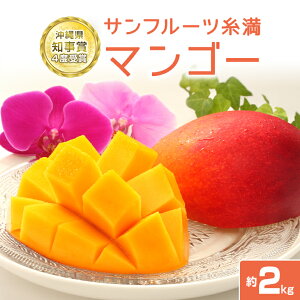 yӂ邳Ɣ[Łzy s\ 2026N  z ꌧm4x Tt[c }S[ 2kg Abv}S[ A[EB}S[ Y n}S[ ʕ 썑  t[c n