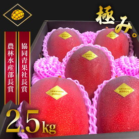 【ふるさと納税】【 先行予約 2026年 発送 】 沖縄県産 マンゴー 『極み。』2.5kg 山城マンゴー屋 アップルマンゴー アーウィンマンゴー 国産 完熟マンゴー 果物 南国 くだもの フルーツ 完熟 夏 旬 沖縄 お取り寄せ 産地直送 農家直送 甘い 濃厚 糸満市 送料無料