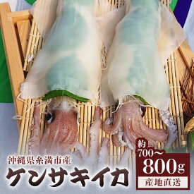 【ふるさと納税】沖縄の漁師まちからお届け!糸満産 ケンサキイカ 700g 〜 800g イカ いか 冷凍 真空パック 水揚げ 急速冷凍 沖縄 産地直送 新鮮 イカ刺身 煮付け 魚介 海鮮 海の幸 刺身 イカフライ 姿焼き いかめし イカ刺 イカ飯 イカ焼き 剣先イカ 沖縄県 糸満市 送料無料