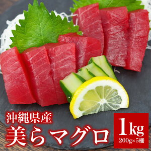 yӂ邳Ɣ[Łz܂ 1kg ( 200g ×5) }O {  }O NxQ o`}O Ln_}O  ܂ {̃}O  Ԑg ς J[ ^ Ⓚ hg ƒp 