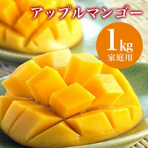 yӂ邳Ɣ[Łzy s\ 2026N  z st@[ Abv}S[ ƒp 1kg ꌧY }S[ A[EB}S[ 1L Y n}S[ ʕ 썑  t[c n 