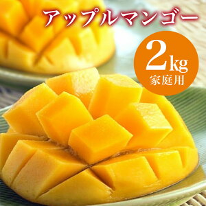 yӂ邳Ɣ[Łzy s\ 2026N  z st@[ Abv}S[ ƒp 2kg ꌧY }S[ A[EB}S[ 2L Y n}S[ ʕ 썑  t[c n 