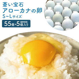 【ふるさと納税】はっこう卵 アローカナ S~L サイズ 55個+破卵保障5個 卵 サイズ おまかせ 青卵 たまご タマゴ 優良醗酵飼料 おいしい 生卵 味卵 煮卵 目玉焼き ゆで卵 キッシュ レシチン 朝食 沖縄 糸満市 上原養鶏場 15000円