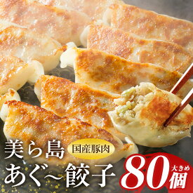 【ふるさと納税】美ら島あぐー餃子 80 個セット(20個入×4パック) 絶品 こだわり 豚 肉 国産 ごはん のトッピング 送料無料 おかず お弁当 冷凍 食品 ぎょうざ ギョウザ お歳暮 簡易包装 小分け お手軽 簡単調理 にんにく 有名 キャンプ BBQ アウトドア 1万円 10000円