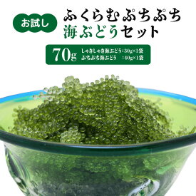 【ふるさと納税】【お試し】ふくらむぷちぷち 海ぶどう セット 塩水タイプ 70g 沖縄 海ブドウ しゃきしゃき ぷちぷち 2種類 食べ比べ セット お試しセット 沖縄県グルメ 特産品 メール便 ネコポス 沖縄県 糸満市 送料無料