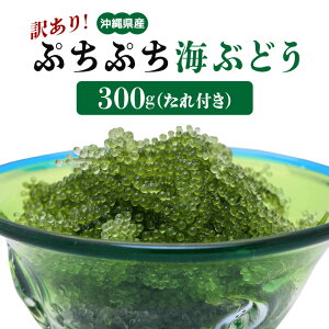 yӂ邳Ɣ[ŁzՂՂCԂǂ 300g 󂠂 ꌧ CԂǂ CuhE E~uhE  lC Y yY N h{ e  _CGbg ~l }OlVE JVE S ^
