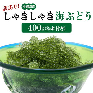 yӂ邳Ɣ[ŁzႫႫCԂǂ 400g 󂠂 ꌧ CԂǂ CuhE E~uhE  lC Y yY N h{ e  _CGbg ~l }OlVE JVE S