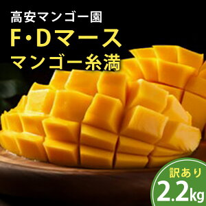 yӂ邳Ɣ[Łzy s\ 2026N  z }S[ 󂠂 FED}[X}S[ 2.2kg (3`8) ꌧY }S[ Abv}S[ A[EB}S[ n}S[ ʕ 