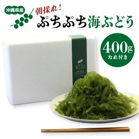 【ふるさと納税】朝採れ! ぷちぷち 海ぶどう 400g 沖縄県産 海ブドウ たれ付き 無着色 沖縄 特産品 沖縄グルメ 海の宝石 海藻 海ぶどう丼 サラダ おつまみ おかず 沖縄料理 常温保存 贈答用 ギフト 産地直送 沖縄県 糸満市 送料無料