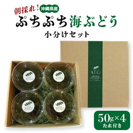 【ふるさと納税】朝採れ! ぷちぷち 海ぶどう 小分け セット 200g 沖縄県産 海ブドウ たれ付き 無着色 沖縄 特産品 沖縄グルメ 海の宝石 海藻 海ぶどう丼 サラダ おつまみ おかず 沖縄料理 常温保存 贈答用 ギフト 産地直送 沖縄県 糸満市 送料無料