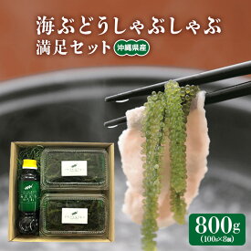 【ふるさと納税】海ぶどう しゃぶしゃぶ 満足 セット 海ブトウ 100g×8個 シークワーサー塩ぽん酢 1本 シークワーサーぽん酢 1本 沖縄県産 沖縄 特産品 沖縄グルメ 沖縄料理 常温保存 シークワーサー ポン酢 ポン酢 産地直送 沖縄県 糸満市 送料無料