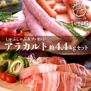 yӂ邳Ɣ[ŁzLr܂؁yԂԗpzAJg 4.4kg Zbg [X o [X  Ef Ԃ 4kg ȏ ؓ ꌧY ؓ  ؂ Ԃԗp p  l