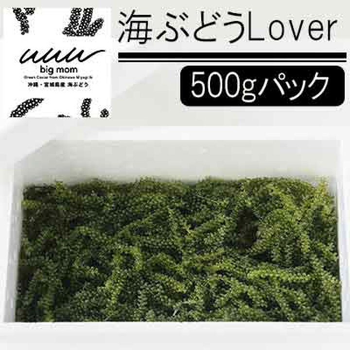 ふるさと納税 海ぶどうlover 500gパック 沖縄県うるま市 セール特価品 500gパック