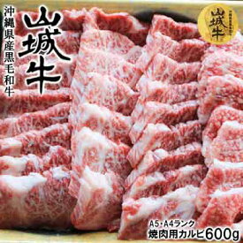 楽天市場 ふるさと納税 焼肉 ランキングの通販