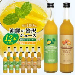 【ふるさと納税】沖縄の贅沢ジュース 12本 <青切シークヮサー・黄金シークヮサー 各6本> KS1010 青切り 黄金 くがに シークヮーサー 熱中症対策 ノビレチン ストレート 調味料 ジュース 飲