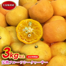 【ふるさと納税】【2025年発送】完熟フルーツシークヮーサー　3kg 沖縄 おきなわ 大宜味村 果物 くだもの 果実 シークワーサー しーくわーさー 完熟 沖縄県産 産地直送 お取り寄せ 人気 食品 送料無料 国産 県産 ご当地 やんばる ノビレチン