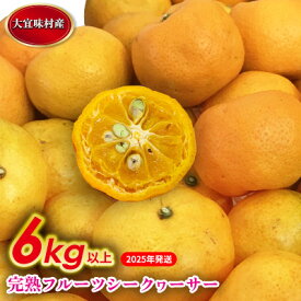 【ふるさと納税】【2025年発送】完熟フルーツシークヮーサー　6kg 沖縄 おきなわ 大宜味村 果物 くだもの 果実 シークワーサー しーくわーさー 完熟 沖縄県産 産地直送 お取り寄せ 人気 食品 送料無料 国産 県産 ご当地 やんばる ノビレチン