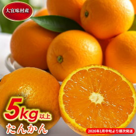【ふるさと納税】【2026年発送】大宜味村　たんかん　5kg 沖縄 おきなわ 大宜味村 果物 くだもの 果実 タンカン オレンジ みかん 柑橘 フルーツ お取り寄せ 人気 ふるさと納税 送料無料 国産 県産 ご当地 やんばる 先行予約