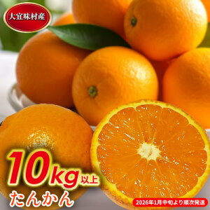 yӂ邳Ɣ[Łzy2026NzX@񂩂@10kg  Ȃ X ʕ  ʎ ^J IW ݂ k t[c  lC ӂ邳Ɣ[  Y 