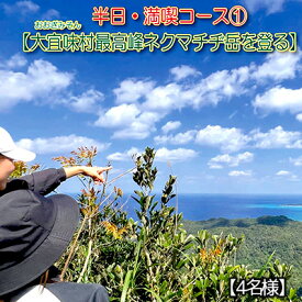 【ふるさと納税】沖縄県北部やんばる・大宜味村最高峰ネクマチヂ岳を登る【4名様】