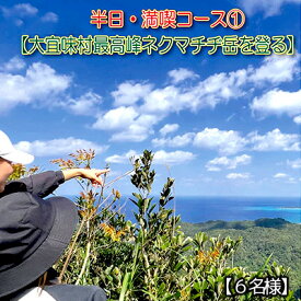 【ふるさと納税】沖縄県北部やんばる・大宜味村最高峰ネクマチヂ岳を登る【6名様】