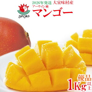 yӂ邳Ɣ[Łzy2026NzXY A[EB}S[@Di1Lȏ t[c ʕ  ʎ  X Hו Y Di BY Yn Mtg v[g gs