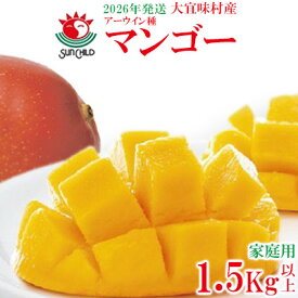 【ふるさと納税】【2026年発送】大宜味村産 アーウィン種マンゴー　家庭用1.5キロ以上 フルーツ 果物 くだもの 果実 沖縄 大宜味村 食べ物 国産 南国 県産 産地直送 家庭用 まんごー トロピカル 送料無料 甘味 スイーツ お取り寄せ デザート マンゴー