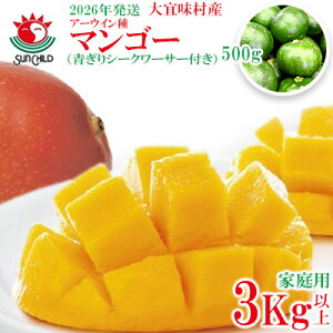 yӂ邳Ɣ[Łzy2026NzXY A[EB}S[@ƒp3LȏiV[N[T[500gtj t[c ʕ  ʎ  X Hו Y V[N[T