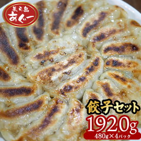 【ふるさと納税】【美ら島あぐー】　餃子セット　1920g 【480g×4パック】 あぐー もっちり 沖縄 大宜味村 豚肉 小分け 国産 おつまみ こだわり ぶた アグー 加工品 おいしい 美味しい 取り寄せ 肉 豚 冷凍 まろやか 旨味