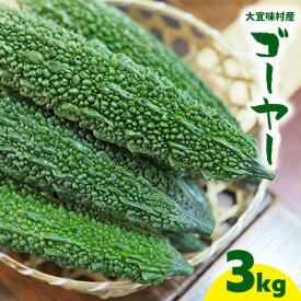 【ふるさと納税】大宜味村産　ゴーヤー3kg以上 沖縄 大宜味村 ゴーヤー ごーや 栄養価 ご当地 人気 ふるさと納税 送料無料 常温 食べ物 野菜 やさい 食物繊維 沖縄料理 おかず アレンジ料理 食品 3キロ サラダ