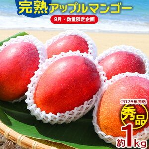 yӂ邳Ɣ[Łzy9Eʌzy2026Nz_ԐlC̊nAbv}S[GiE1kg_璼I Gi s\  Ö x Z  yY  Mtg 