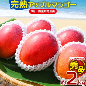 yӂ邳Ɣ[Łzy9Eʌzy2026Nz_ԐlC̊nAbv}S[GiE2kg_璼I Gi s\  Ö x Z  yY  Mtg 