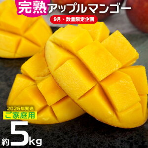 yӂ邳Ɣ[Łzy9Eʌzy2026NzƒpłɏɔnAbv}S[5kg@_I ƒp s\  Ö x Z  yY  