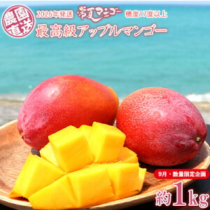 yӂ邳Ɣ[Łzy9Eʌzy2026Nzō@ăAbv}S[Ix17xȏ@1kg_璼 ō s\  Ö x Z  yY  M