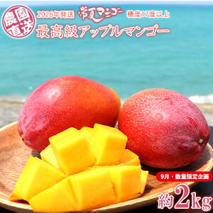 yӂ邳Ɣ[Łzy9Eʌzy2026Nzō@ăAbv}S[Ix17xȏ@2kg_璼 ō s\  Ö x Z  yY  M