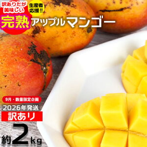 yӂ邳Ɣ[Łzy9Eʌzy2026NzY҉II󂠂肾nAbv}S[2kg@_I A s\  Ö x Z  p 