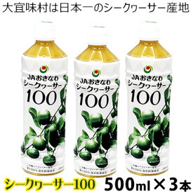 【ふるさと納税】【シークヮーサー100】PETボトル（500ml）3本セット　国産　沖縄県　飲みやすい　話題