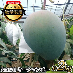 yӂ邳Ɣ[Łzy2026NzXL[c}S[2kgyʌz ʌ s\  Ö x Z  yY ܂񂲁[ L[c ʕ  ʎ  ӂ邳Ɣ[