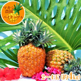 楽天市場 パイナップル 生産国日本 フルーツ 果物 食品 の通販