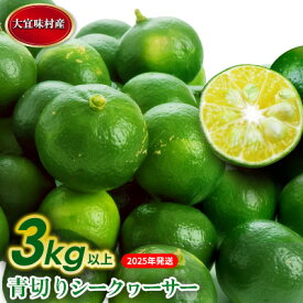 【ふるさと納税】【2025年発送】大宜味村　青切りシークワーサー 3kg 沖縄 おきなわ 大宜味村 果物 くだもの 果実 シークワーサー しーくわーさー 青切り 沖縄県産 産地直送 お取り寄せ 人気 食品 送料無料 国産 県産 ご当地 やんばる ノビレチン