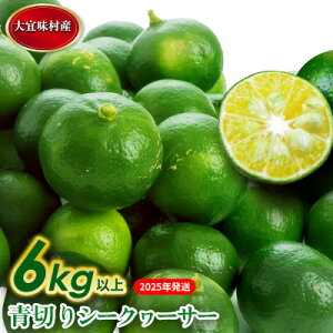 yӂ邳Ɣ[Łzy2025NzX@؂V[N[T[ 6kg  Ȃ X ʕ  ʎ V[N[T[ [[[ ؂ ꌧY Yn  lC 