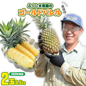 yӂ邳Ɣ[ŁzS[hoypCAbvz(2ʁj3.5kg@ӂܔ_̎MI2026N S[ho pCibv i VN W[V[  x  Â g