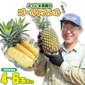 【ふるさと納税】ゴールドバレル【パインアップル】(4～6玉）約9kg　ふくしま農園の自信作！◆2026年発送◆ ゴールドバレル パイナップル 高品質 新鮮 ジューシー 希少 高い糖度 大玉 甘い トロピカル パイン 生産量日本一 高級フルーツ 南国フルーツ 国産フルーツ 完熟 福島