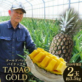 【ふるさと納税】TADAO GOLD　2玉　約3.5kg（多冠芽含む）【ゴールドバレル】2026年発送 ゴールドバレル パインアップル タダオゴールド たまき ただお 逸品 パイン職人 最高級 国産パイン パイナップル パイン 匠 高級フルーツ 南国フルーツ 特別 希少 玉城忠男 農家直送