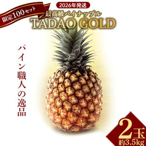 yӂ邳Ɣ[ŁzypF100ZbgzTADAO GOLDyS[hozi2ʁj S[ho ^_IS[h [  ō ꌧ  pCAbv p 蕨 pC