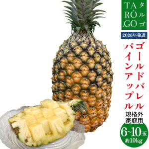 yӂ邳Ɣ[ŁzyKiOEƒpzTARUGO@S[hopC@10kgi6`10ʁj2026N ƒp pC pCAbv pCibv ^S ^SS[h S[ho tiV 