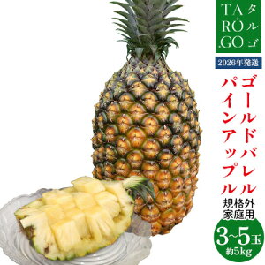 yӂ邳Ɣ[ŁzyKiOEƒpzTARUGO@S[hopC@5kgi3`5ʁj2026N ƒp pC pCAbv pCibv ^S ^SS[h S[ho tiV 