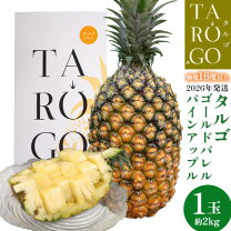 楽天市場】東村 ゴールドバレルの通販