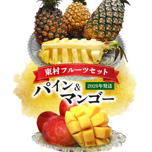 �y�ӂ邳�Ɣ[�Łz�����t���[�c�Z�b�g�@�p�C��&�}���S�[�y2026�N�����z �p�C�� �p�C���A�b�v�� �p�C�i�b�v�� �X�i�b�N�p�C�� �S�[���h�o���� �s�[�`�p�C�� �T���h���`�F �z���C�g�R�R ����