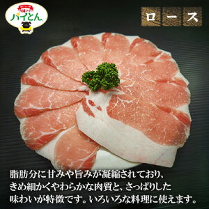 yӂ邳Ɣ[ŁzyʂIׂIzAO[؁@pCƂ@IĂp@600g [ AO[ [ؓ AO[ o [X [X Iׂ uh pC IĂ  ؏` pC